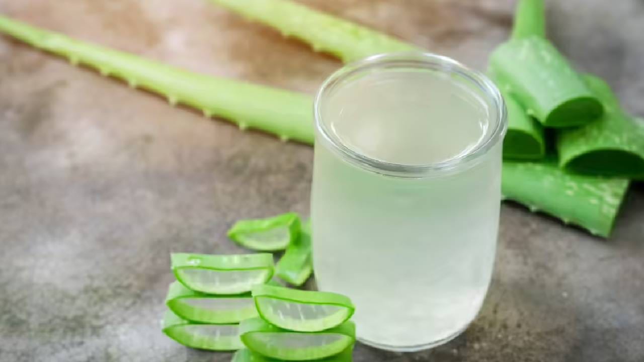 विशेष म्हणजे जर तुम्ही दररोज सकाळी कोरफडीचे सेवन केले तर तुमच्या त्वचेच्या असंख्य समस्या कमी होतील आणि तजेलदार आणि निरोगी त्वचा तुम्हाला मिळेल. 