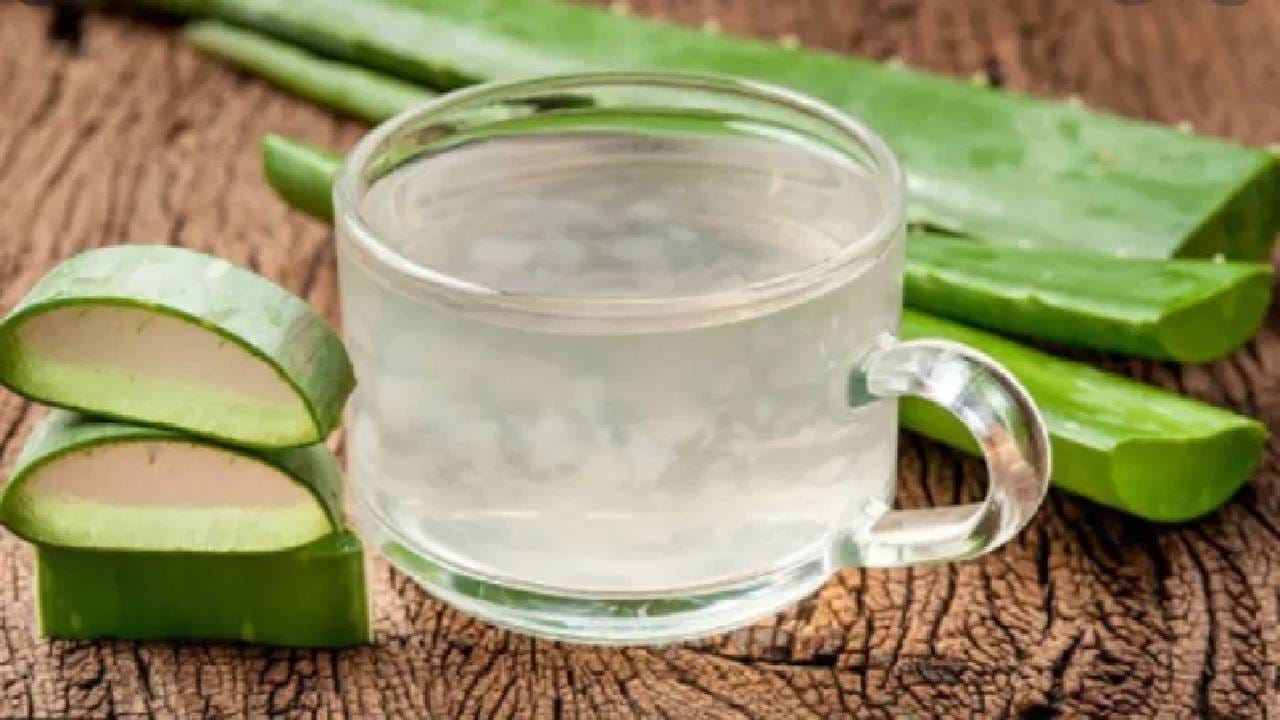 बऱ्याच लोकांना आम्लपित्ताची समस्या असते. यामुळे त्यांना काहीच खाता पिता येत नाही. जर तुम्हाला जरी आम्लपित्ताची समस्या असेल तर कोरफडीच्या ज्यूसचे सेवन करा. 