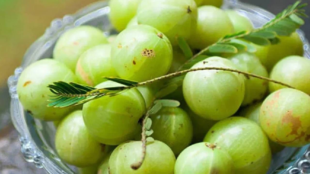 तज्ञांकडून जाणून घ्या , हिवाळ्यातील सुपरफूड असलेला आवळा चाऊन खाणे चांगले आहे की त्याचा रस पिणे अधिक फायदेशीर