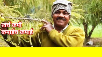 शेतकऱ्यांसाठी ATM पेक्षा कमी नाही या फळाची शेती! खर्च कमी आणि कमाईच कमाई