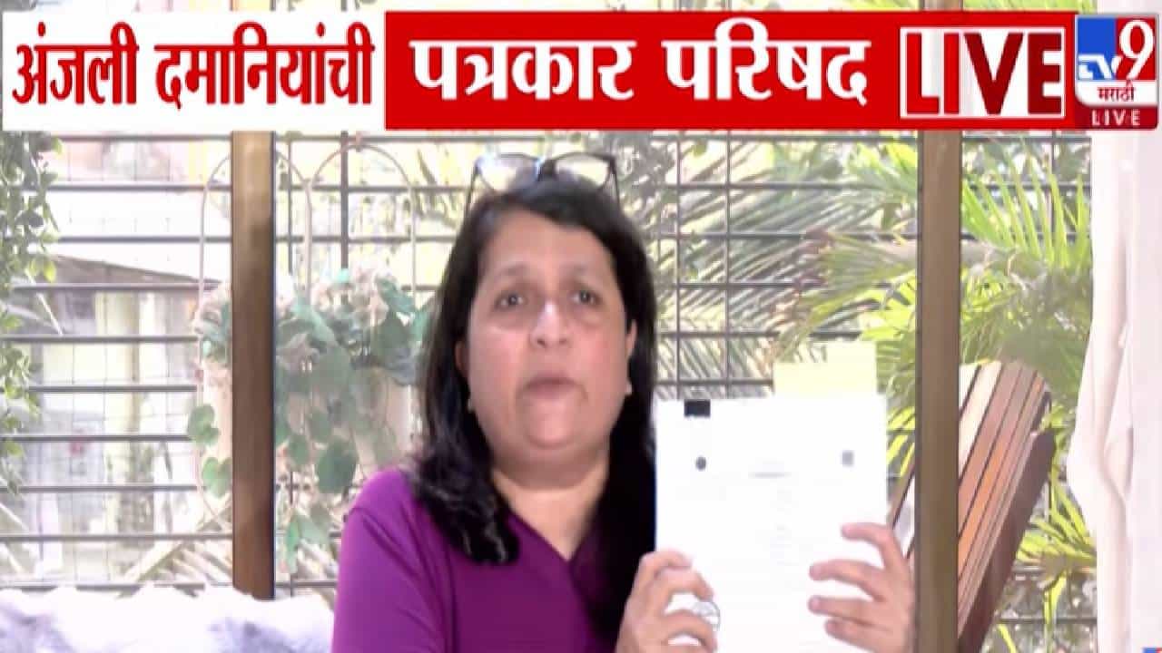 Anjali Damania : ...म्हणून अजित पवारांची हिंमत, तेव्हा त्यांची सत्ता नव्हती, पण आता तर... दमानियांच्या दाव्यानं एकच खळबळ