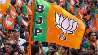 कल्याण-डोंबिवलीमध्ये भाजप, तर मालेगावात इस्लाम, आतापर्यंत इतके नगरसेवक आले निवडून