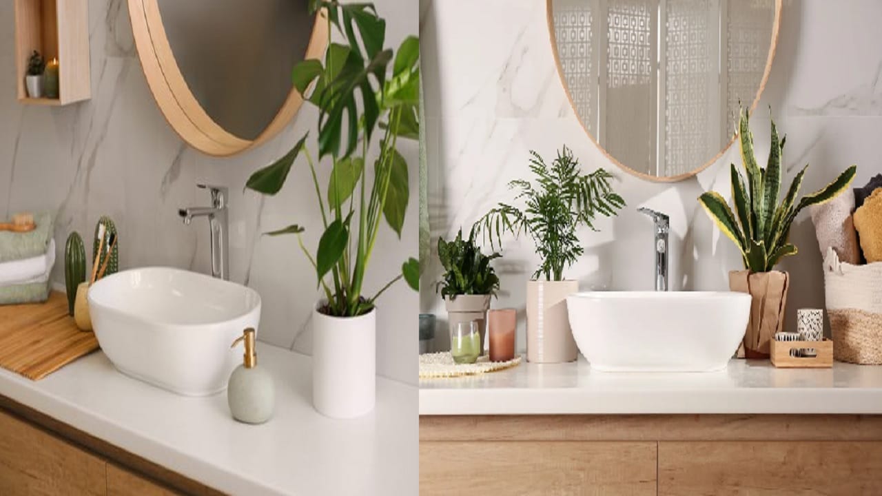 वास्तुशास्त्रानुसार बाथरूममध्ये ठेवलेल्या या 5 गोष्टी गरीबी आणू शकतात; तुमच्याही बाथरूममध्ये आहेत का? वास्तुशास्त्रानुसार बाथरूममध्ये ठेवलेल्या या 5 गोष्टी गरीबी आणू शकतात; तुमच्याही बाथरूममध्ये आहेत का?