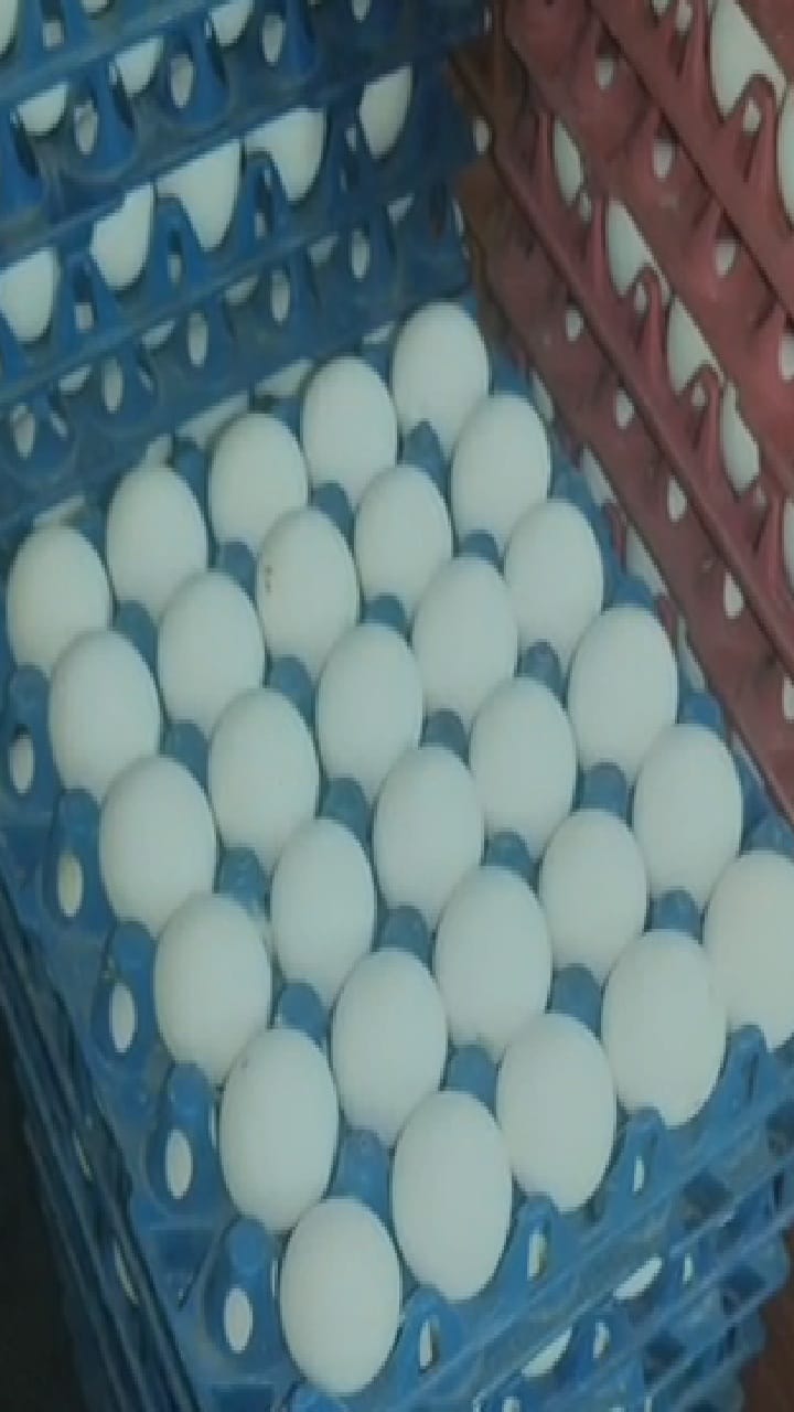 Bhandara : अंड्यांच्या दरात विक्रमी वाढ, डझनाचा भाव 100 पार