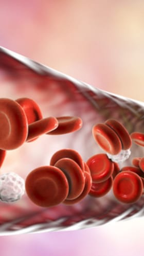 रक्त शुद्ध ठेवण्यासाठी या गोष्टी ठरतील वरदान