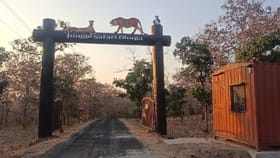 नवीन वर्षात बोर व्याघ्र प्रकल्पात पर्यटकांना सुविधा