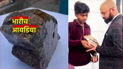 Business Idea: हाच चौसष्ट घरांचा राजा! रस्त्यावरचा दगड विकून कमावले 5 हजार; इंटरनेटवर Viral Video पाहिला का?