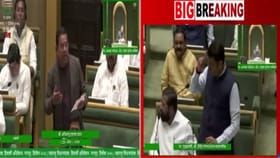 नाहीतर घरी बसाव लागेल, लाडक्या बहिणीवरून फडणवीसांनी भाजप आमदाराला झापल