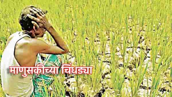 Chandrapur Farmer: माणुसकीला काळीमा, कर्ज फेडण्यासाठी शेतकऱ्याची किडनी विकली, चंद्रपुरातील धक्कादायक प्रकार