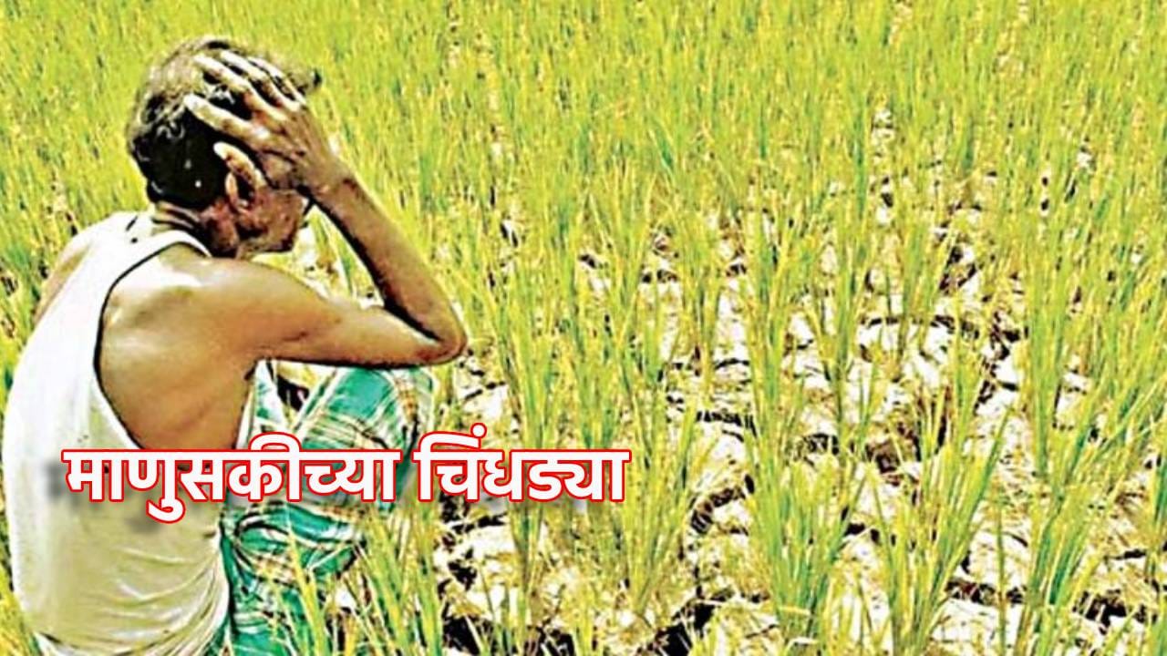 Chandrapur Farmer: माणुसकीला काळीमा, कर्ज फेडण्यासाठी शेतकऱ्याची किडनी विकली, चंद्रपुरातील धक्कादायक प्रकार Chandrapur Farmer: माणुसकीला काळीमा, कर्ज फेडण्यासाठी शेतकऱ्याची किडनी विकली, चंद्रपुरातील धक्कादायक प्रकार