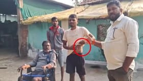 चंद्रपूरच्या शेतकऱ्यापर्यंत किडनी तस्कर कसा पोहोचला? तपासात धक्कादायक.