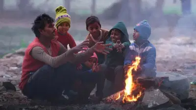 IMD Weather Update : हाडं गोठवणारी थंडी पडणार, या राज्यांना अलर्ट जारी, महाराष्ट्राची अवस्था काय?