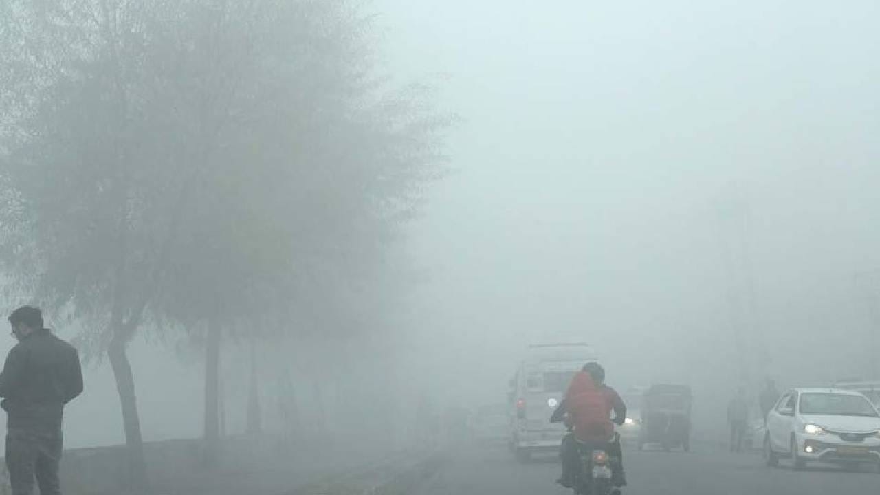 IMD weather update : राज्यात थंडीची मोठी लाट, तब्बल इतक्या जिल्ह्यांना अलर्ट जारी, पुढील 48 तास..