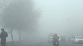 राज्यात थंडीची मोठी लाट, तब्बल इतक्या जिल्ह्यांना अलर्ट जारी, पुढील 48.