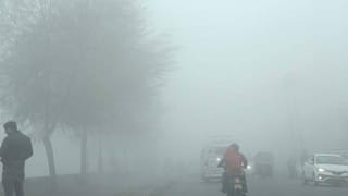 IMD weather update : राज्यात थंडीची मोठी लाट, तब्बल इतक्या जिल्ह्यांना अलर्ट जारी, पुढील 48 तास..