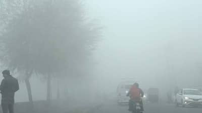 IMD weather update : राज्यात थंडीची मोठी लाट, तब्बल इतक्या जिल्ह्यांना अलर्ट जारी, पुढील 48 तास..