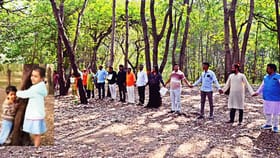 नाशिक वृक्षतोडीवरून काँग्रेसचा व्यंगबाण; राज्यातील प्रमुखावर टीका.