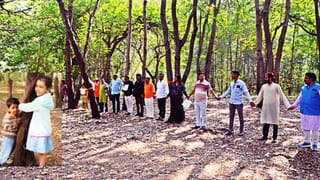 Congress: नाशिक वृक्षतोडीवरून काँग्रेसचा व्यंगबाण; राज्यातील प्रमुखावर जिव्हारी टीका