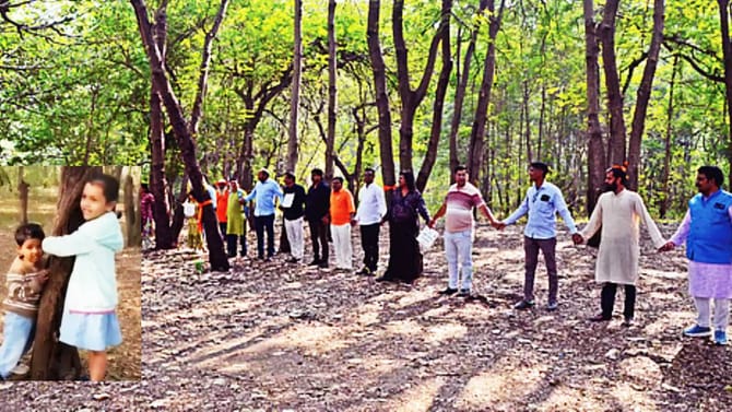 नाशिक वृक्षतोडीवरून काँग्रेसचा व्यंगबाण; राज्यातील प्रमुखावर टीका