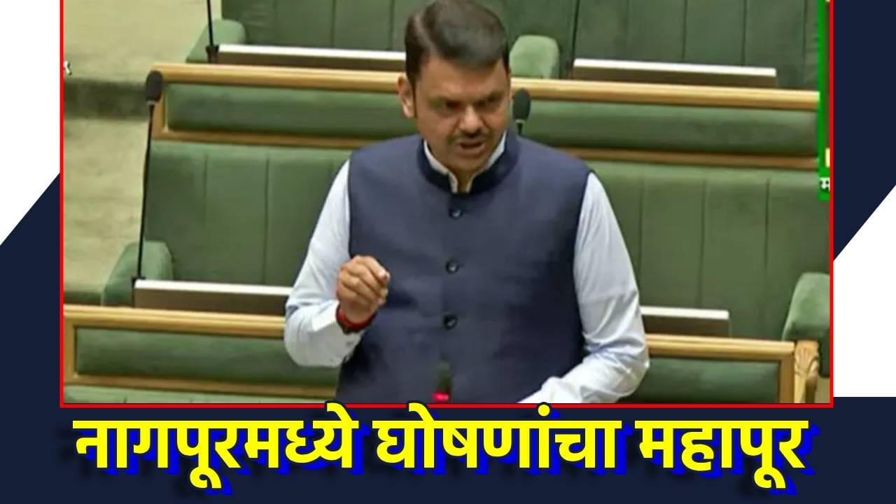 नवीन नागपूरची निर्मिती, नव्या महामार्गाने मराठवाड्याचा चेहरामोहरा बदलणार अन् मुंबई ते लातूर अंतर फक्त 4 तासाचं… मुख्यमंत्र्यांचा विधानसभेत घोषणांचा पाऊस