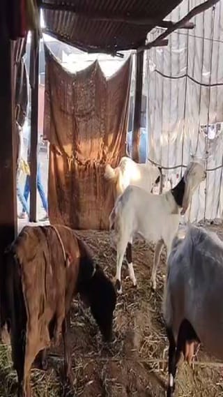 धुळे शहरासह जिल्ह्याचा तापमानाचा पारा घसरला