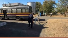 त्या बेवारस पिशवीत काय? धुळ्यात बॉम्ब शोधक पथकाची धावाधाव