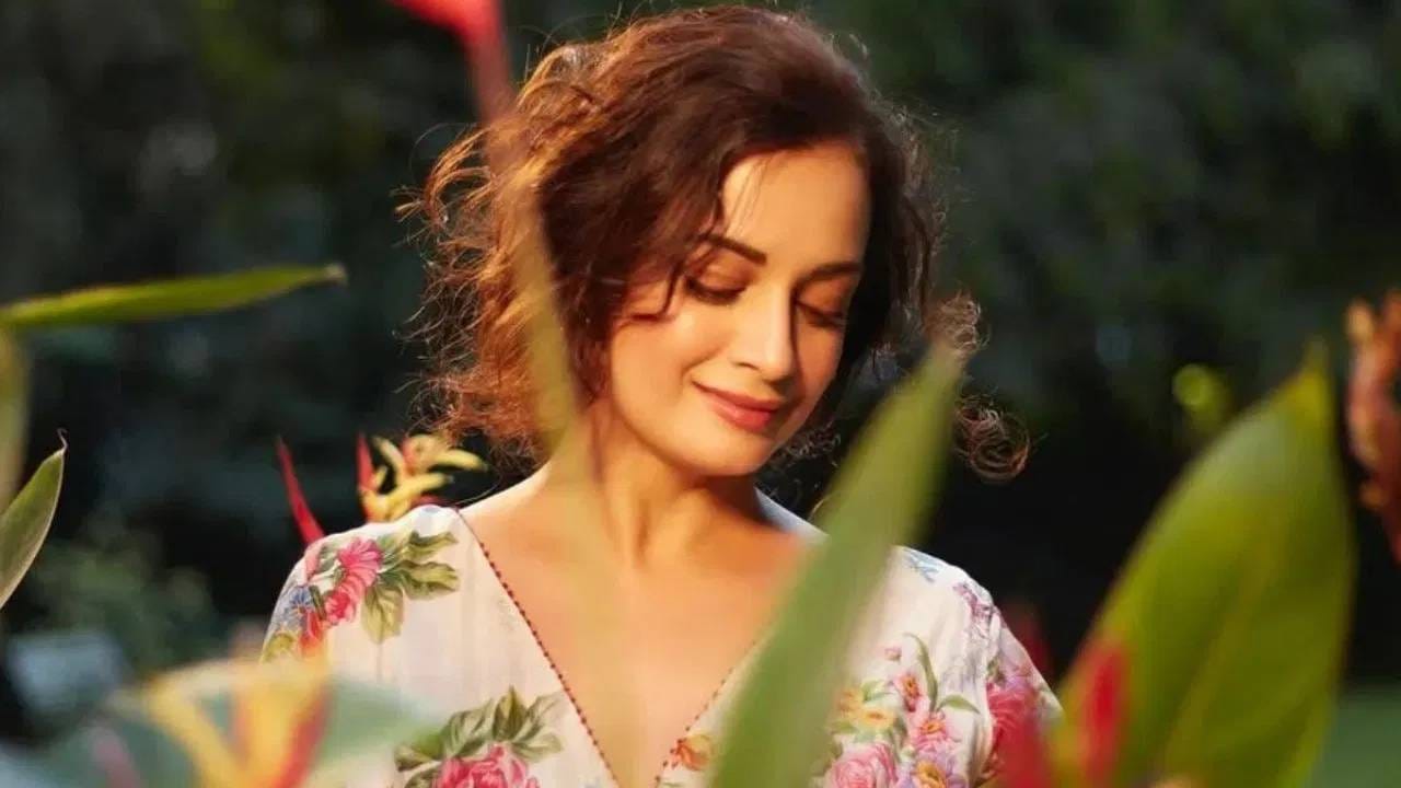 बॉलीवूड इंडस्ट्रीत असंख्य चित्रपटांची निर्मिती होत असते. पण आश्चर्यकारक गोष्ट म्हणजे या इंडस्ट्रीमध्येच अशा अनेक कथा आहेत ज्या एखाद्या चित्रपटापेक्षा कमी नाहीत. अशीच एक कहाणी म्हणजे अभिनेत्री दिया मिर्झा हिची आहे. तिचं आयुष्य चर्चेत असतं, तिच्याबद्दल जाणून घेण्याची चाहत्यांना खूप उत्सुकता असते.