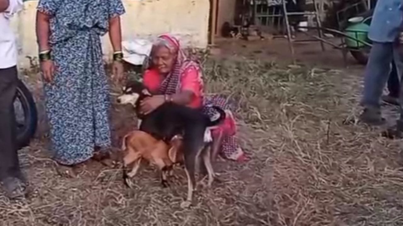 या कुत्रीची पिल्ले काही लोक पाळण्यासाठी घेऊन गेले होते. त्यामुळे कुत्रीने मायेने शेळीच्या त्या कमजोर पिलाजवळ जाऊन त्याला दूध पाजायला सुरुवात केली. हे दृश्य पाहून उपस्थित सर्वांचे डोळे पाणावले होते.