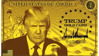 डोनाल्ड ट्रम्प यांची मोठी खेळी; Gold Card Visa कशासाठी? अमेरिकेत खरंच लागणार लॉटरी?