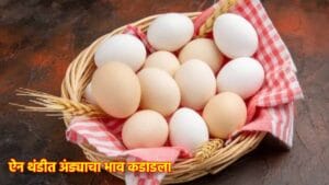 Eggs Price: थंडीत अंड्याचे भाव कडाडले, अंड्याचा भाव शंभरीवर, किंमती ऐकून खवय्यांना हुडहुडी