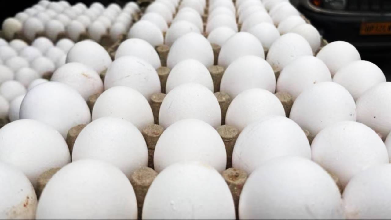 मुंबई महानगर क्षेत्रात अंड्यांच्या किंमती 98-100 रुपयांपर्यंत वाढल्या आहेत. थंडीत अंड्याची मागणी वाढली आहे. तर देशभरातून होणारा पुरवठा खुंटला आहे. पुरवठा सुरळीत होईपर्यंत अंड्यांचे भाव भडकलेलेच असतील. मागणी आणि पुरवठ्यातील तफावतीमुळे खवय्यांना अंड्यासाठी खिसा खाली करावा लागत आहे. पूर्वीपेक्षा किंमतीत मोठी वाढ झाली आहे. पूर्वी एक अंडं 6 -8 रुपयांदरम्यान मिळत होते. तो भाव आता 10 रुपयांपेक्षा अधिक आहे. 