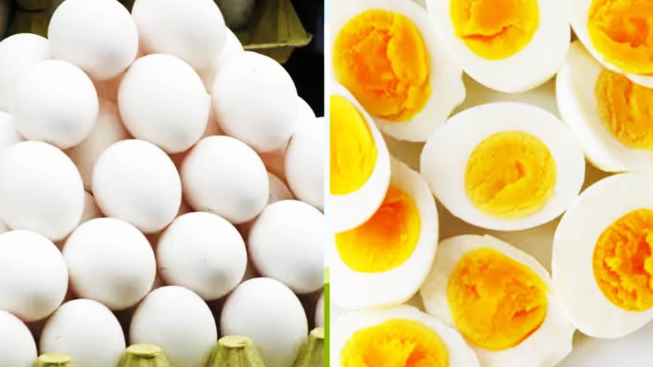 Eggs Price Hike: कडाक्याच्या थंडीत अंड्यांचा भाव चांगलाच वधारला आहे. एक डझन अंड्यासाठी 100 रुपयांची नोट कामी येत आहे. त्यामुळे खवय्यांच्या तोंडची चव गेली आहे. यापूर्वी त्यापेक्षा स्वस्तात अंडी येत होती. पण थंडी वाढताच मागणी वाढल्याने अंड्याच्या किंमतींचा भडका उडाला आहे. त्यामुळे थंडीत ऑम्लेट आणि अंडा करीसाठी ग्राहकांना अधिक पैसे मोजावे लागत आहेत. 