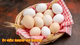 Eggs Price: थंडीत अंड्याचे भाव कडाडले, किंमती ऐकून खवय्यांना हुडहुडी.