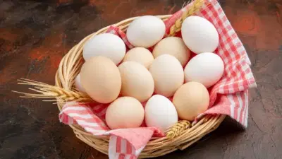 Egg Storage: अंडी फ्रिजमध्ये ठेवल्यावर खराब होतात? जाणून घ्या ठेवण्याची योग्य पद्धत