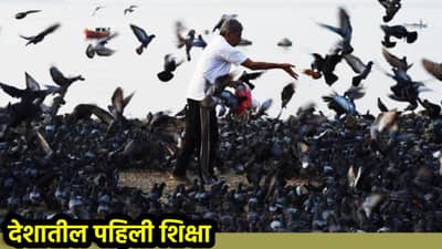 Mumbai News: कबुतरांना दाणे टाकणाऱ्या व्यापाऱ्याला कोर्टाचा दणका! देशातील पहिली शिक्षा, इतक्या हजारांचा दंड