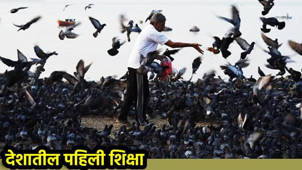 Mumbai News: कबुतरांना दाणे टाकणाऱ्या व्यापाऱ्याला कोर्टाचा दणका! देशातील पहिली शिक्षा, इतक्या हजारांचा दंड