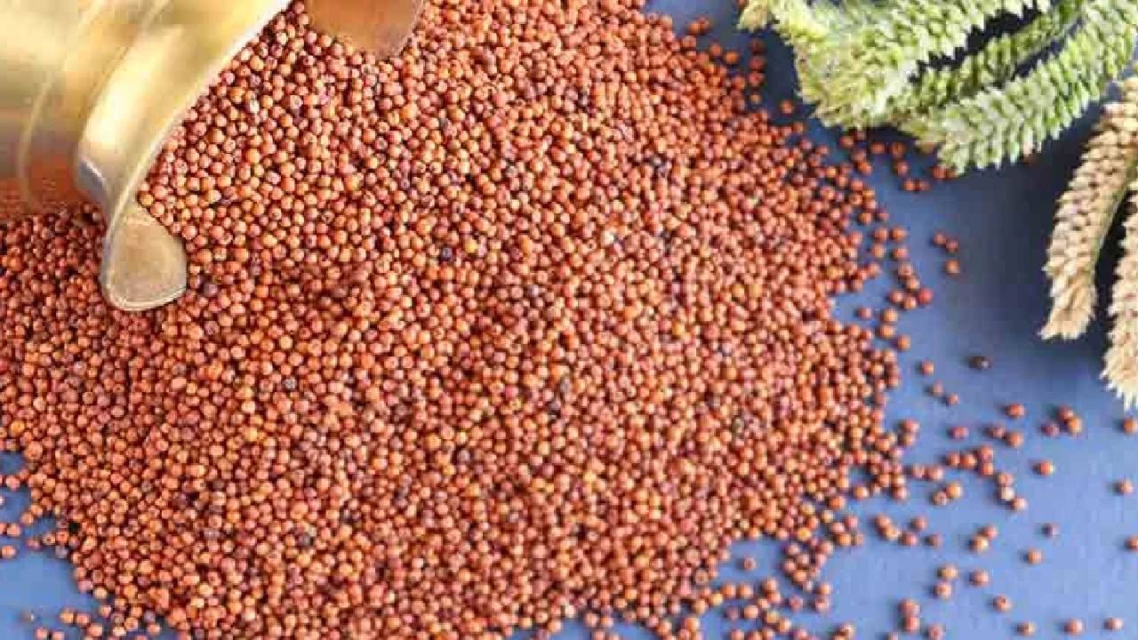 फक्त नाचणीची चपातीच नाही तर तुम्ही सूप बनवूनही पिऊ शकता. नाचणीचा उपमाही तयार करू शकता. हिवाळ्यात नाचणी खाणे अधिक फायदेशीर ठरते. 