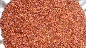 दररोजच्या आहारात करा या घटकाचा समावेश, आरोग्याच्या असंख्य समस्याही..