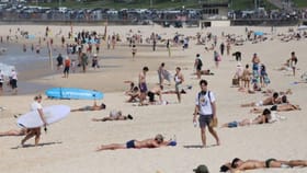 ज्यू धर्मीयांच्या कार्यक्रमात अंदाधूंद गोळीबार, अनेकांचा मृत्यू.