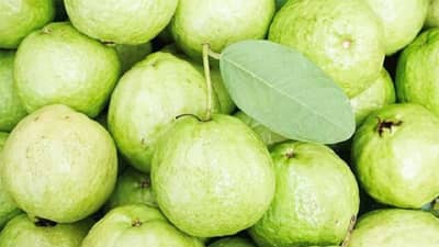 पेरू ताजे आहे की नाही? या ट्रिकने ओळखणं होईल सोपे, पाहा व्हिडीओ