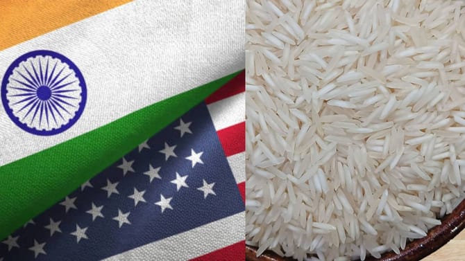 आमचा तांदूळ महाग आहे, मग तुम्हाला कमी किंमतीत का विकू? भारत अमेरिकेत..