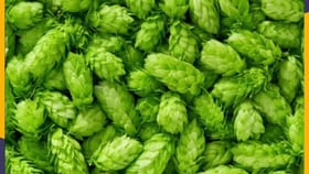 भारतातील सर्वात महागडी भाजी कोणती? जाणून घ्या.