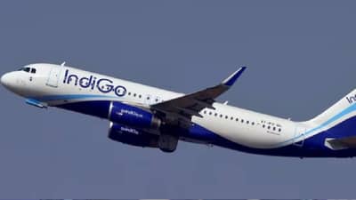 Indigo Crisis :  इंडिगोवर सर्वात मोठ संकट असताना नेदरलँडमध्ये CEO च काय चाललय? व्हिसलब्लोअरचा धक्कादायक दावा