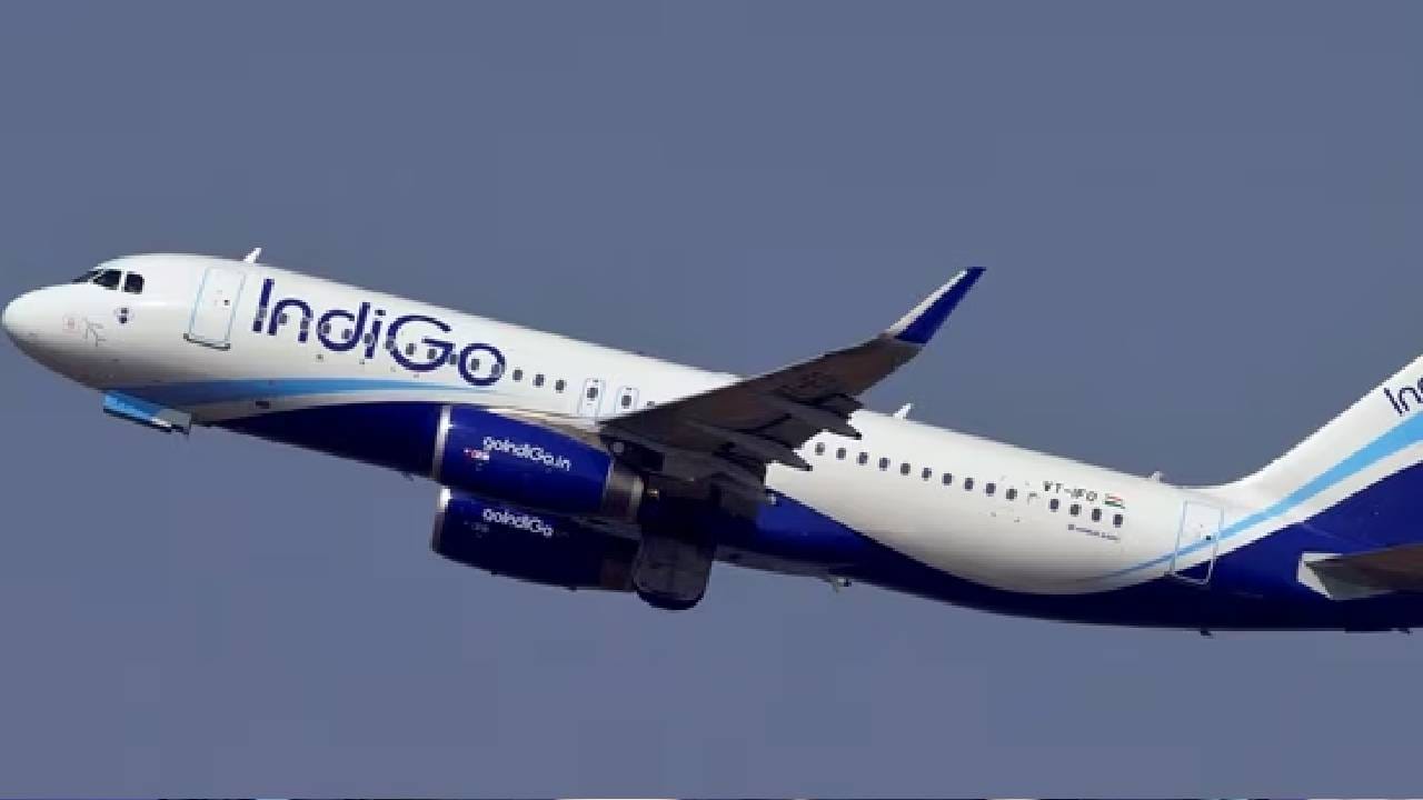 Indigo Crisis : इंडिगोवर सर्वात मोठ संकट असताना नेदरलँडमध्ये CEO च काय चाललय? व्हिसलब्लोअरचा धक्कादायक दावा Indigo Crisis : इंडिगोवर सर्वात मोठ संकट असताना नेदरलँडमध्ये CEO च काय चाललय? व्हिसलब्लोअरचा धक्कादायक दावा