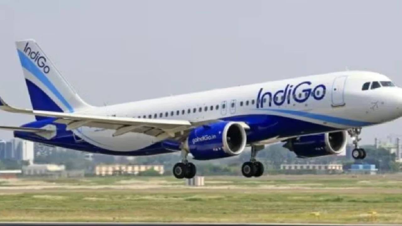 Indigo Flight Cancellations : इतिहासातील सर्वात मोठं एअर ट्रॅव्हल संकट! आजही 450 फ्लाइट्स रद्द... हवाई सेवा कधी सुरळीत होणार? मोठी अपडेट काय? Indigo Flight Cancellations : इतिहासातील सर्वात मोठं एअर ट्रॅव्हल संकट! आजही 450 फ्लाइट्स रद्द... हवाई सेवा कधी सुरळीत होणार? मोठी अपडेट काय?