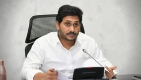 'शेतकऱ्यांच्या केळीला 50 पैशांचा भाव अन् मॉलमधील दर 86 रुपये'