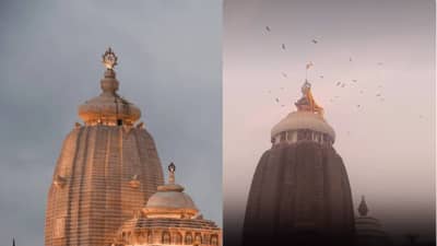 Video: भविष्य मालिकांमधली ती भविष्यवाणी खरी ठरणार? जगन्नाथ मंदिराच्या कळसावरील पक्षांच्या थव्याने खळबळ