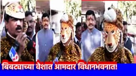 बिबट्याच्या वेशात आमदार विधानभवनात! बिबट्यांना ठार मारणार?.