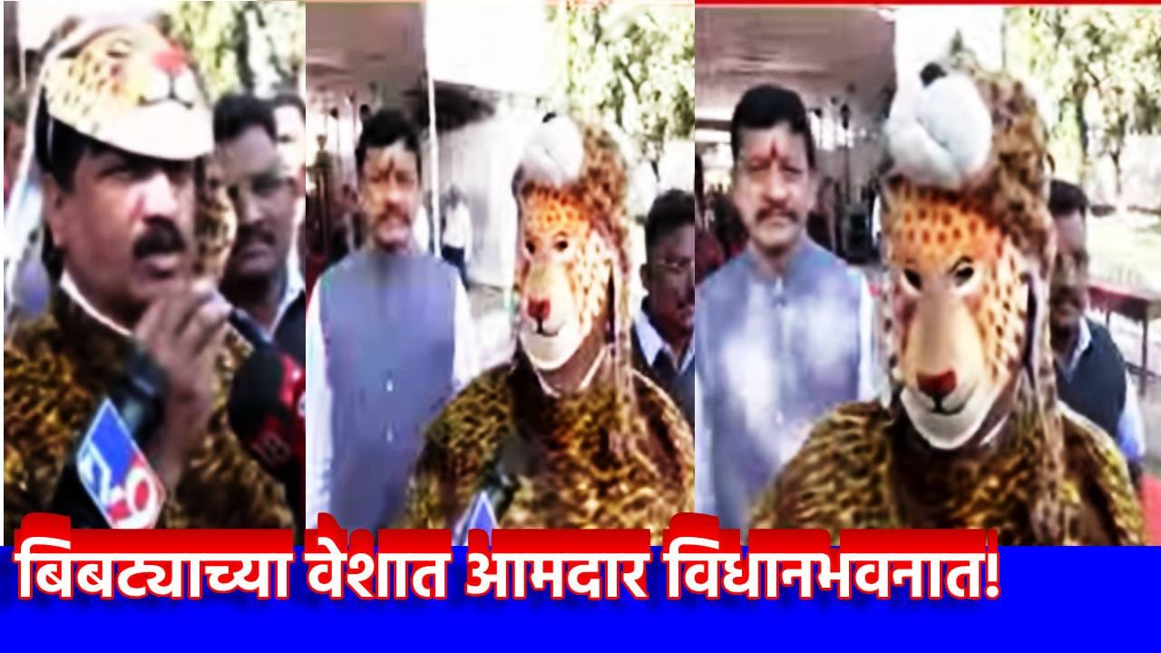 Sharad Sonowane: बिबट्याच्या वेशात आमदार विधानभवनात! दिसताक्षणीच बिबट्यांना ठार मारणार? राज्य सरकार मोठा निर्णय घेणार? Sharad Sonowane: बिबट्याच्या वेशात आमदार विधानभवनात! दिसताक्षणीच बिबट्यांना ठार मारणार? राज्य सरकार मोठा निर्णय घेणार?