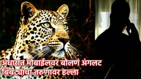 अंधारात मोबाईलवर बोलणे अंगलट, बिबट्याचा तरुणावर हल्ला.